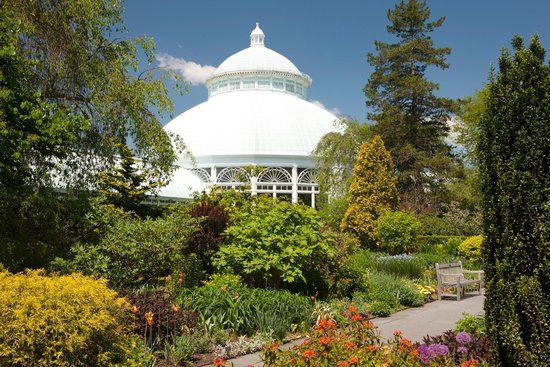 ニューヨーク植物園